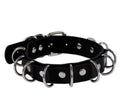 D-Ring Choker